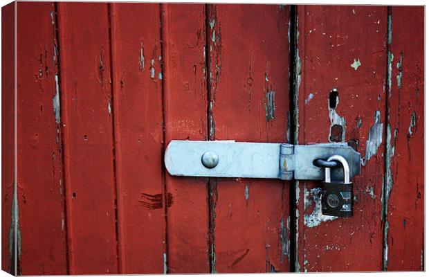 Wooden Door 2 Canvas Print by Gavin Liddle