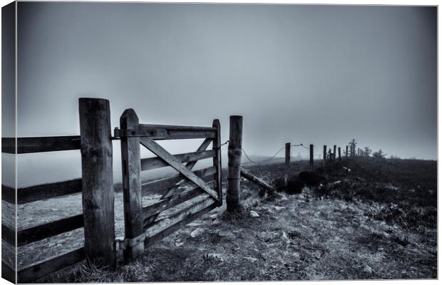 Gate in the Mist  Canvas Print by Gavin Liddle