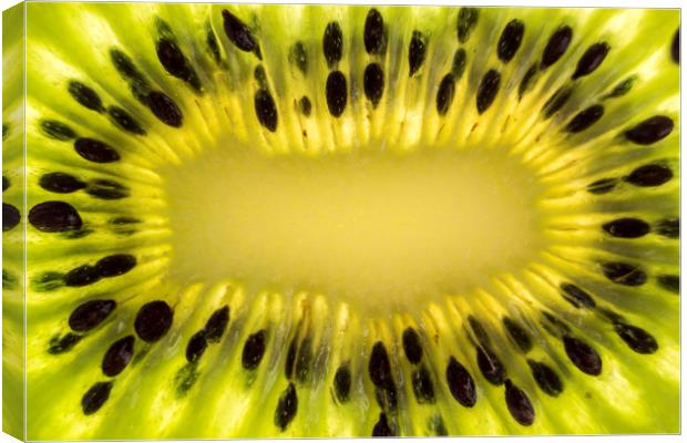 Kiwi Fruit Macro Canvas Print by Gavin Liddle