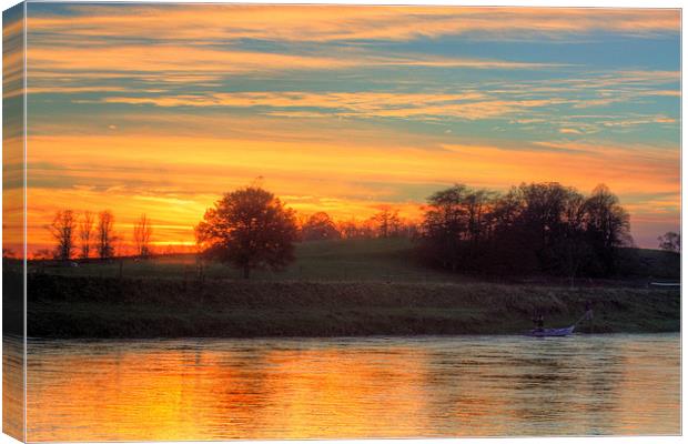 Cobby at Sunset Canvas Print by Gavin Liddle