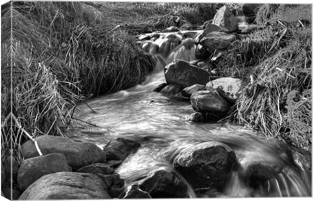 Stream in Black and White Canvas Print by Gavin Liddle