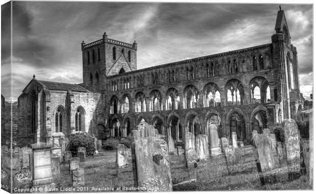 Jedburgh Abbey 3 Canvas Print by Gavin Liddle