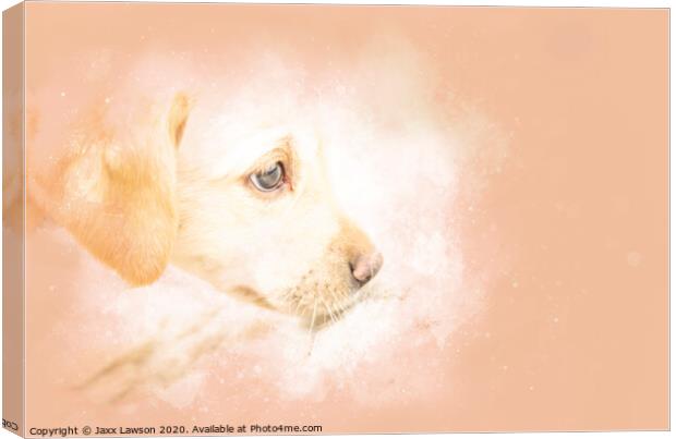 Stitch the Labrador puppy Canvas Print by Jaxx Lawson