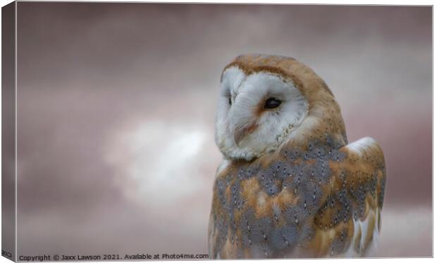 Barn Owl Canvas Print by Jaxx Lawson