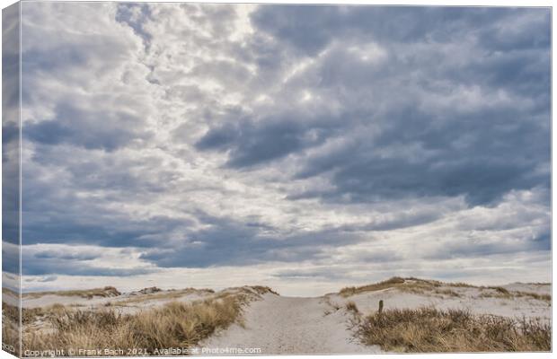 Dunes on Skallingen at the North Sea in rural western Denmark Canvas Print by Frank Bach