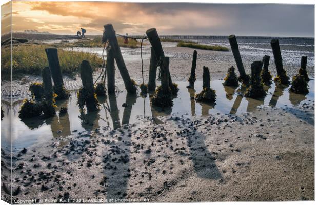 Poles on the beach on Mandoe in the wadden sea, Esbjerg Denmark Canvas Print by Frank Bach