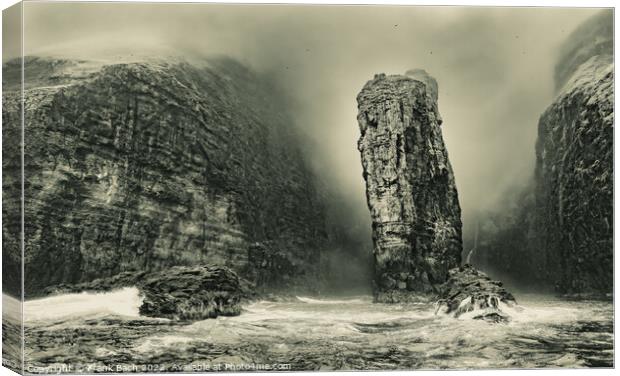 Vestmanna bird cliffs on the Faroe Islands Canvas Print by Frank Bach