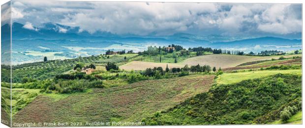 Tuscan landscape farmland outside Voleterra, Tuscany Italy Canvas Print by Frank Bach