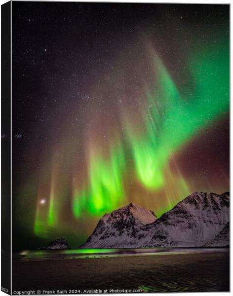 Northern lights aurora on Lofoten, Norway Canvas Print by Frank Bach