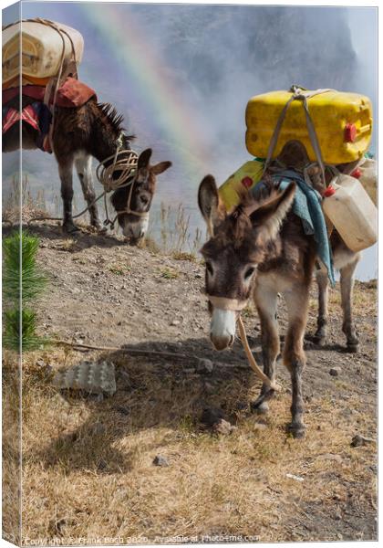 Donkeys carrying water in the higlands on Sao Antao, Cape Verde Islands Canvas Print by Frank Bach