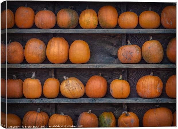 Fresh harvested pumpkins ready for sale Canvas Print by Frank Bach