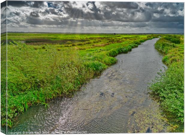 Skjern enge meadows flood delta in Denmark Canvas Print by Frank Bach