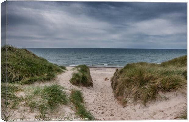 Dunes at the North Sea Coast in Jammerbugt, Denmark Canvas Print by Frank Bach