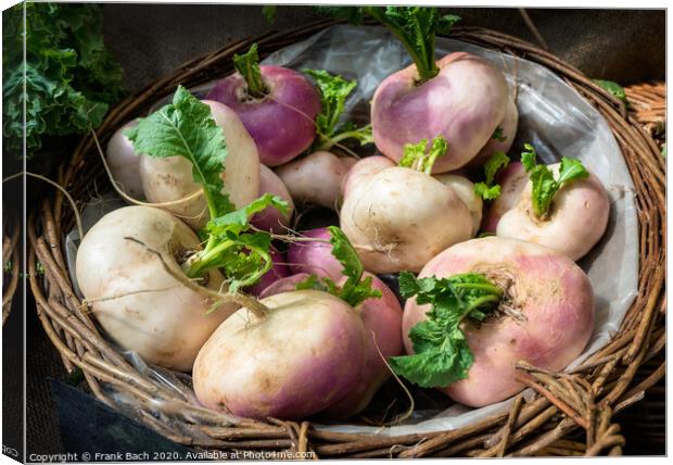Fresh turnips in a basket Canvas Print by Frank Bach