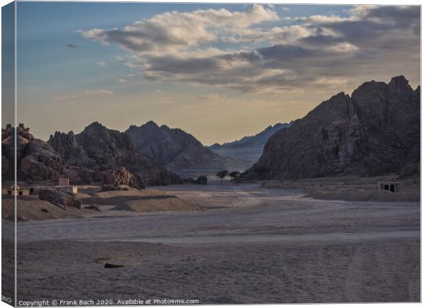 Sinai desert close to sunset Canvas Print by Frank Bach