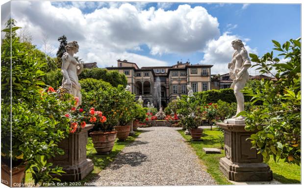 Palazzo Pfanner gardens in Lucca Canvas Print by Frank Bach