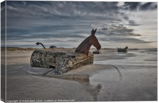 Bunker Mules horses on Blaavand Beach, North Sea coast, Denmark Canvas Print by Frank Bach