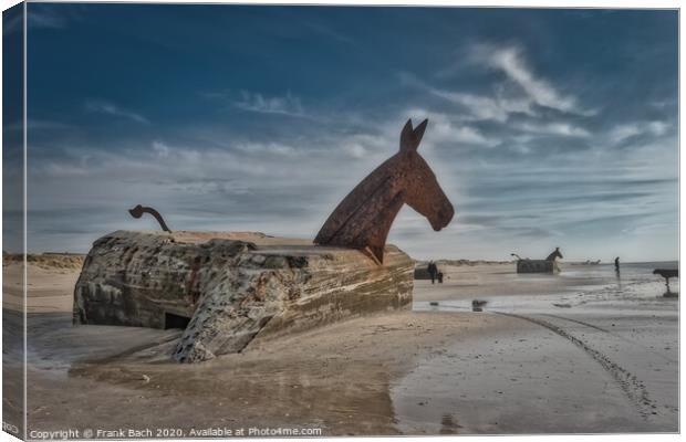 Bunker Mules horses on Blaavand Beach, North Sea coast, Denmark Canvas Print by Frank Bach