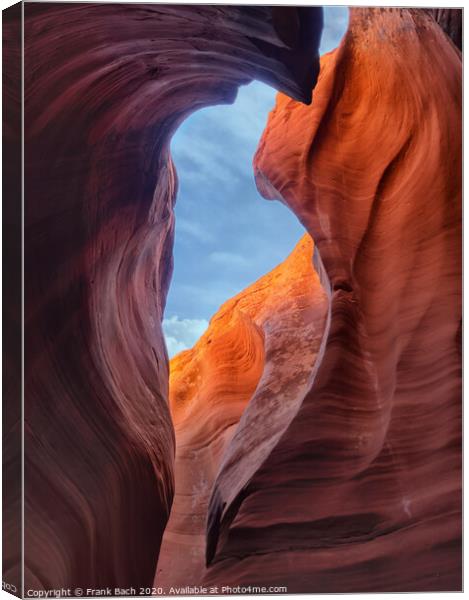 Close up from Rattlesnake Canyon near Page, Arizona Canvas Print by Frank Bach