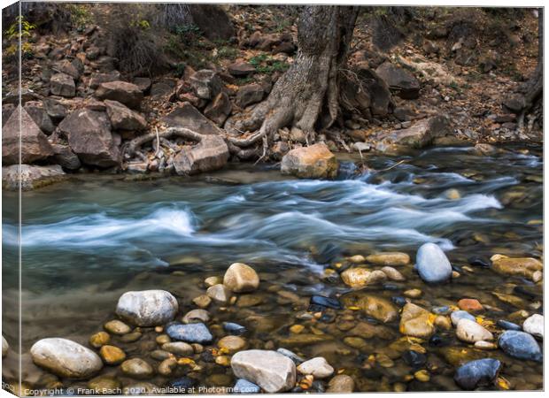 Creek in the Narrows Zion national park, Utah Canvas Print by Frank Bach