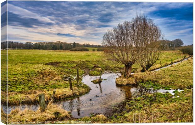 Small creek with willows near Bindeballe, Denmark Canvas Print by Frank Bach