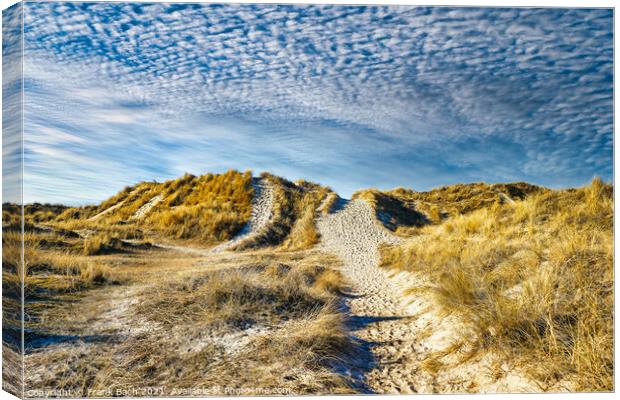 Dunes at the North Sea coast in Rindby at Fanoe, Denmark Canvas Print by Frank Bach