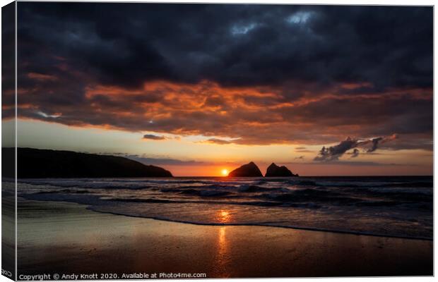 Gull Rocks Canvas Print by Andy Knott