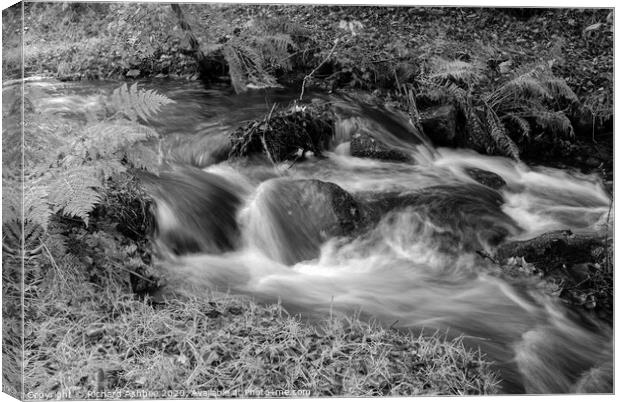 Peak district waterfall at Padley Gorge in black & Canvas Print by Richard Ashbee