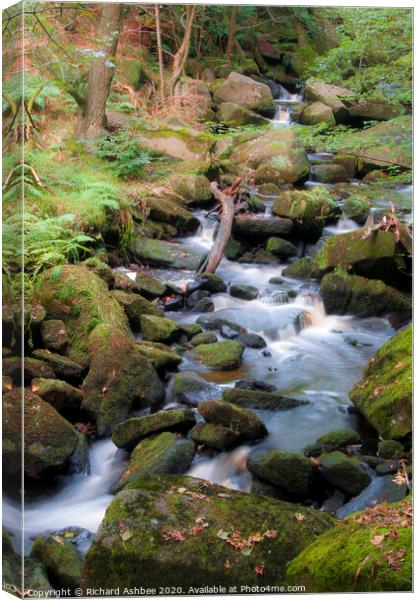 Babbling Burbage Brook, Padley Gorge, Derbyshire Canvas Print by Richard Ashbee
