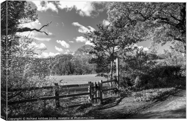 Black & White Farmland walk Canvas Print by Richard Ashbee