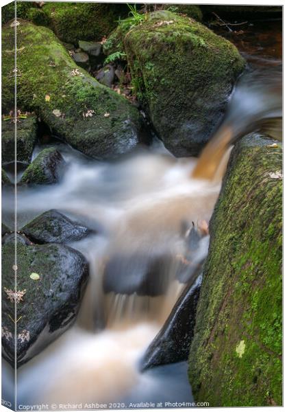 River Rivelin tumbling through a wooded valley Canvas Print by Richard Ashbee