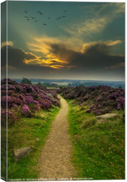 Track to Fox House in the Peak District Canvas Print by Richard Ashbee