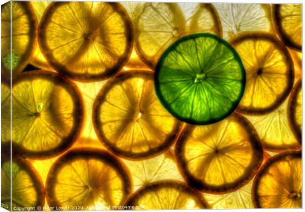 Lemons and Lime Canvas Print by Peter Lovatt  LRPS