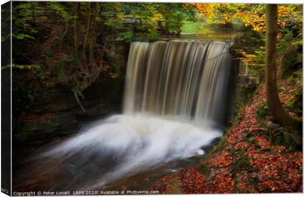 Autumn at Big Weir, Clywedog Valley Canvas Print by Peter Lovatt  LRPS