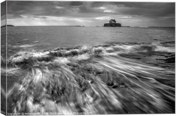 St Cwyfan's - "Little Church in the Sea" in monoch Canvas Print by Peter Lovatt  LRPS