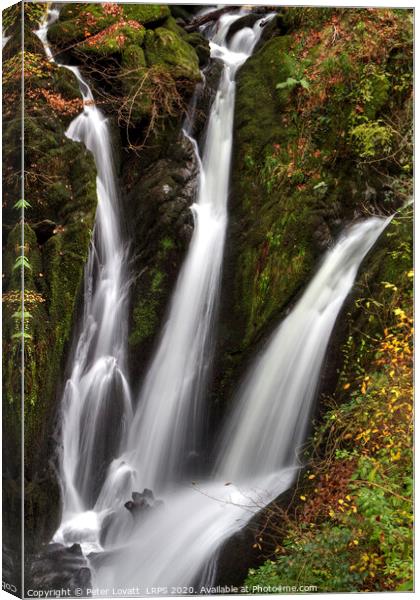 Stock Ghyll Force, Lake District Canvas Print by Peter Lovatt  LRPS