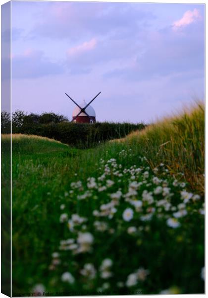 Windmill Hill Hampshire Canvas Print by Peter Barber