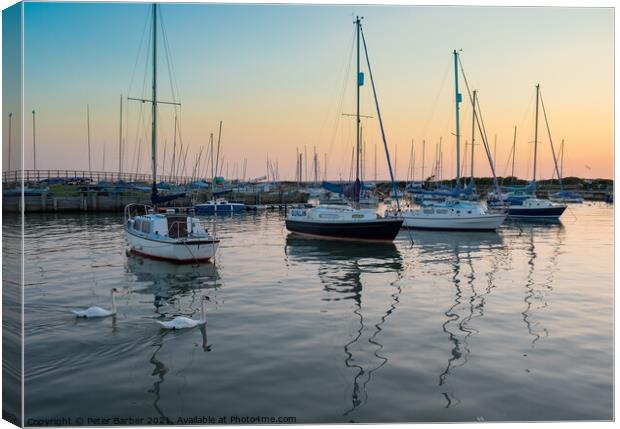 The Swans in the Harbour at sunset Canvas Print by Peter Barber
