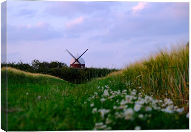 Windmill Hill Hampshire Canvas Print by Peter Barber