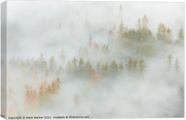 Great Wood in the Lake District lost in the fog Canvas Print by Peter Barber