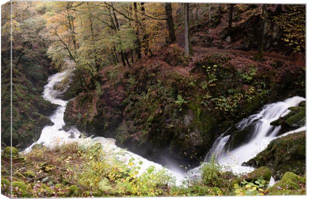 Stockghyll Force flowing downriver to Ambleside Canvas Print by Peter Barber