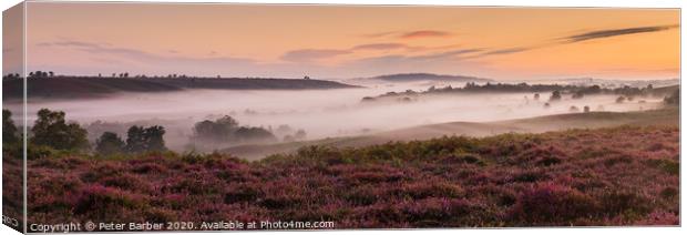 New Forest Summer Sunrise Canvas Print by Peter Barber