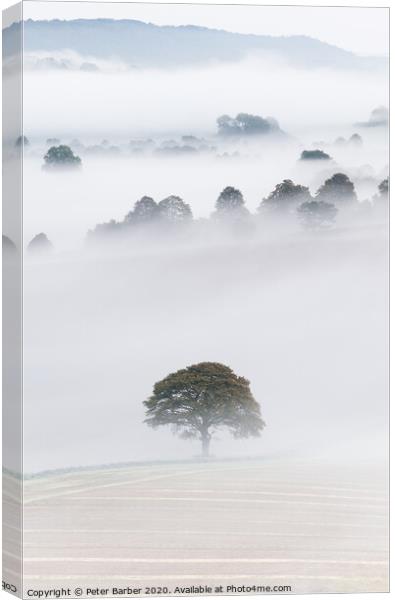 South Downs Mist Canvas Print by Peter Barber