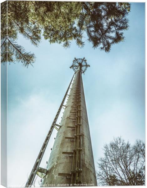 Telecommunication tower in the woods  Canvas Print by Ingo Menhard