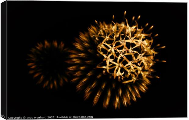 Nature's firework Canvas Print by Ingo Menhard