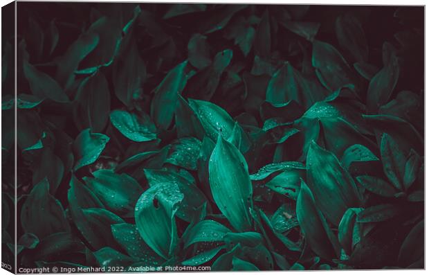 The fresh green Canvas Print by Ingo Menhard