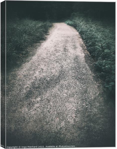 The long way Canvas Print by Ingo Menhard