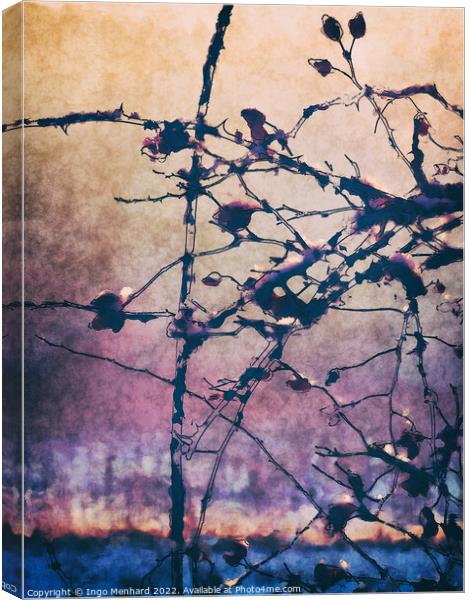 Rosehip dreams photo artwork Canvas Print by Ingo Menhard