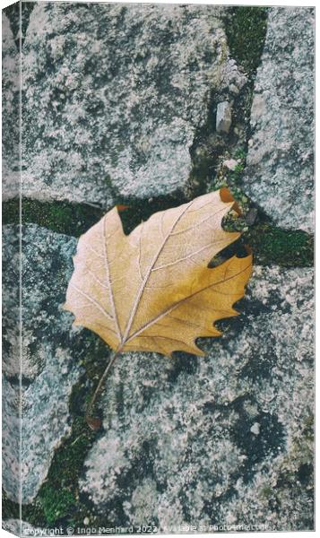 Single orange leaf on the ground Canvas Print by Ingo Menhard