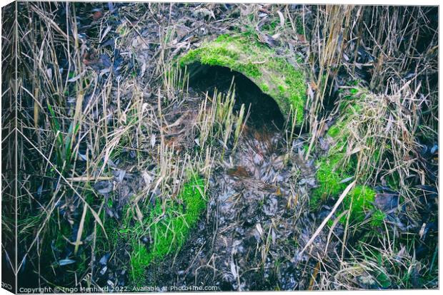 Partially clogged old concrete drain pipe surrounded by grass and moss Canvas Print by Ingo Menhard